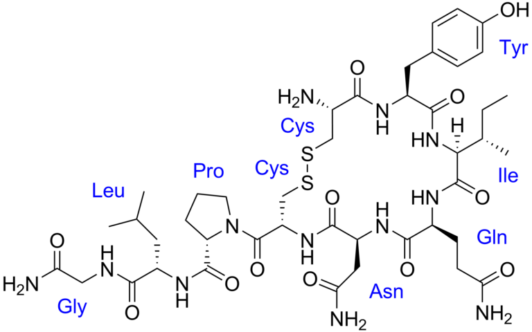 Oxytocin-Peptide-chemical-structure-Made-in-USA-768x480
